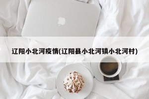 辽阳小北河疫情(辽阳县小北河镇小北河村)
