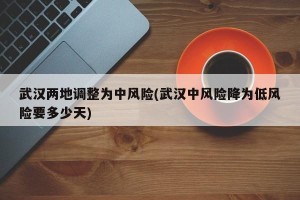 武汉两地调整为中风险(武汉中风险降为低风险要多少天)