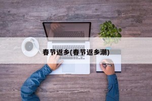 春节返乡(春节返乡潮)